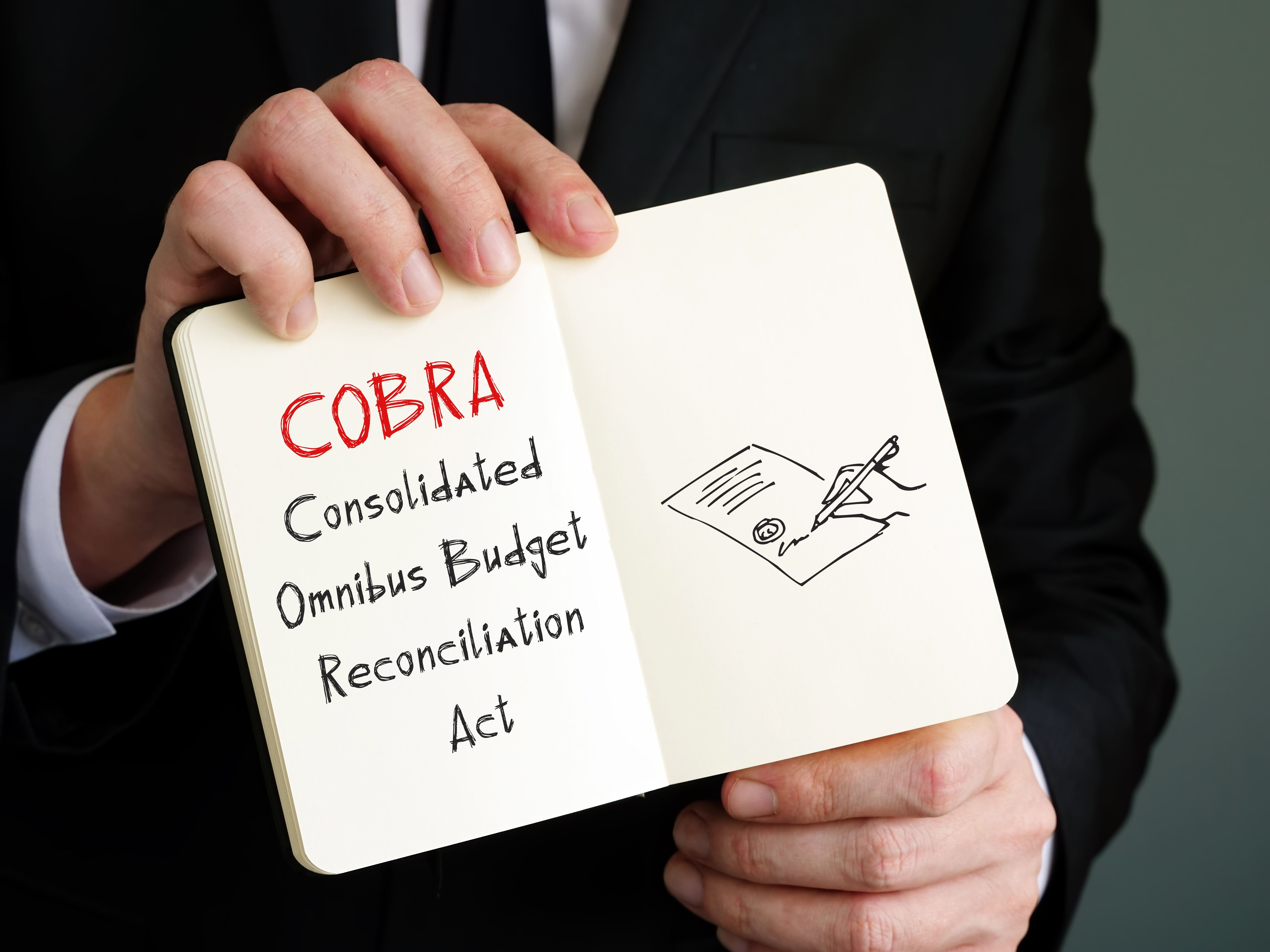 What Is Omnibus Budget Reconciliation Act Obra